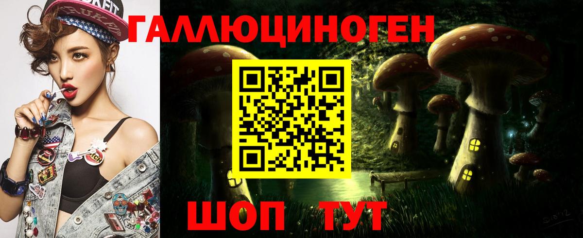Псилоцибиновые грибы Cubensis  Вход с VPN  Алейск 