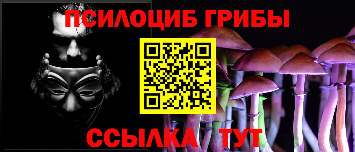 Псилоцибиновые грибы мицелий Алейск
