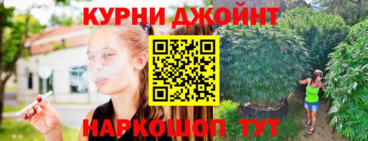 Конопля AK-47 Алейск